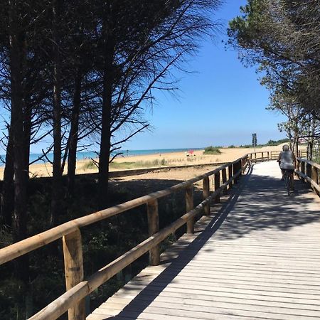 Appartamenti Livenza Bibione Dış mekan fotoğraf